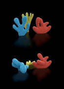 After Nature. Cacti, Corals and Leaves-9783907236536