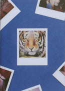 Tiger-9783942547369