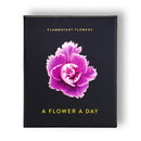 Flamboyant Flowers-9783946688839
