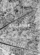 Sebastian Posingis: Salt River-9783958296206