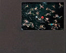Francine Fleischer: The Water in Between
