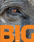 Big : A Photographic Album of the World's Largest Animals-9783961713851