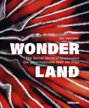 Wonderland : The Secret World of Mushrooms-9783961715107