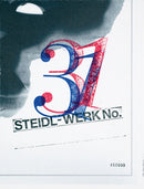Theseus Chan: Steidl?werk No. 31