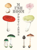 Mushroom Postcards-9784756253804