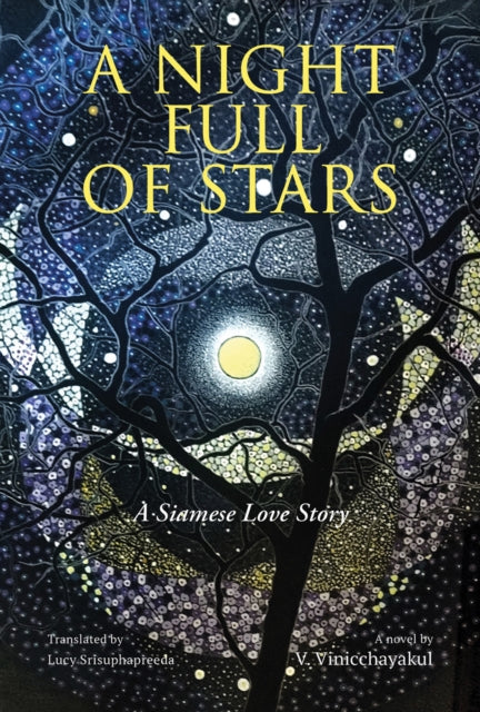 A Night Full of Stars-9786164510807