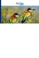 Kwaliteit en kwaliteitsfunctie Implementatie-9786200514592