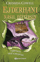 Ejderhani Nasil Egitirsin - Ejderhaca Nasil Konu - 3