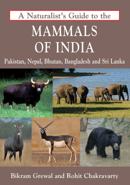 A Naturalist's Guide to the Mammals of India-9788175994072