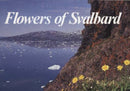 Flowers of Svalbard-9788251915298