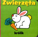 ZWIERZTA KOSTKA FK-9788375128659