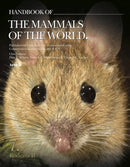 Handbook of the Mammals of the World. Rodents II-9788416728046