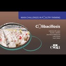 Colibacillosis - Main Challenges in Poultry Farming