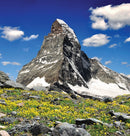 Mountains : The Giants of the Earth-9788857245867