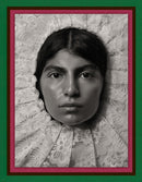 Pieter Henket: Birds of Mexico City