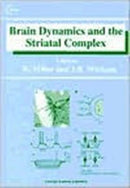 Brain Dynamics and the Striatal Complex