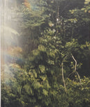 La Soufriere-9789198760743