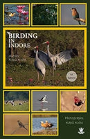 Birding In Indore-9789357762014