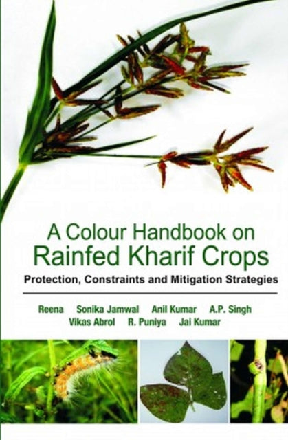 A Colour Handbook on Rainfed Rabi Crops : Protection, Constraints and Mitigation Strategies-9789386546692