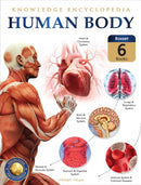 Knowledge Encyclopedia For Children: Human Body : Boxset of 6 books-9789390183630