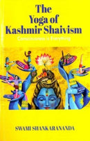 Consciousness is Everything-9789392510502