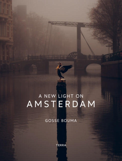 A New Light on Amsterdam-9789401446341
