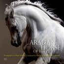 The Arabian Horse of Egypt-9789774166655