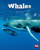 Whales Level 24 X6-9789999702874