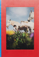 10 5 4-9791399013528