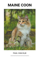 Maine Coon-9798201320836