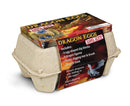 Dragon Eggs Dig Kit