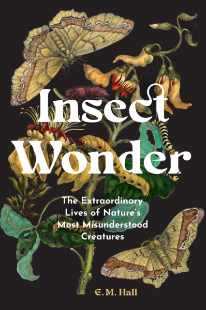 Insect Wonder