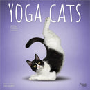 Yoga Cats 2026 Square Flap Calendar-9798330701919