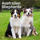 Australian Shepherds 2026 Square Flap Calendar-9798330702220