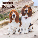 Basset Hounds 2026 Square Flap Calendar-9798330702329