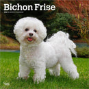 Bichon Frise 2026 Square Flap Calendar-9798330702411