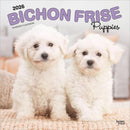Bichon Frise Puppies 2026 12 x 24 Monthly Square Calendar-9798330702435
