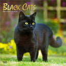 Black Cats 2026 Square Flap Foil Calendar-9798330702480