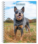 Blue Heelers 2026 Engagement Diary-9798330702503