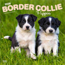 Border Collie Puppies 2026 Square Flap Calendar-9798330702541