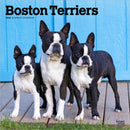 Boston Terriers 2026 Square Flap Calendar-9798330702602
