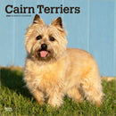 Cairn Terriers 2026 Square Flap Calendar-9798330702701