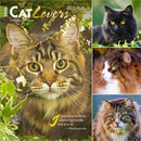 Cat Lovers 2026 Square Flap Foil Calendar-9798330702787