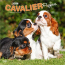 Cavalier King Charles Spaniel Puppies 2026 Square Flap Calendar-9798330702817