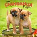 Chihuahua Puppies 2026 Square Flap Calendar-9798330702923