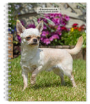 Chihuahuas 2026 Engagement Diary-9798330702930
