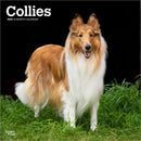 Collies 2026 Square Flap Calendar-9798330702985