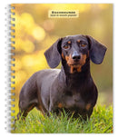 Dachshunds 2026 Engagement Diary-9798330703104