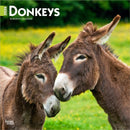 Donkeys 2026 Square Flap Calendar-9798330703173