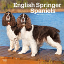 English Springer Spaniels 2026 Square Flap Calendar-9798330703227